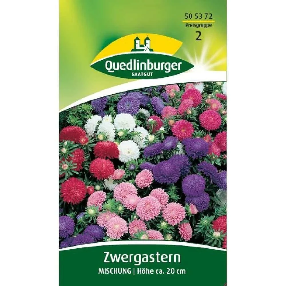 "Mélange d'asters nains colorés pour jardin et balcon image"
